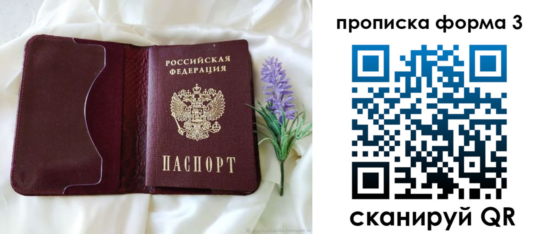 прописка 2025 в Талице